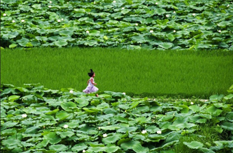 武隆火爐“快樂老家”獲獎作品